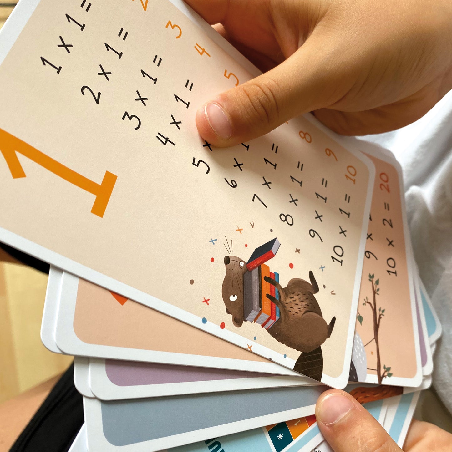 Handgezeichnete Einmaleinskarten zum Üben des 1x1 mit den Reihen 1 bis 10: 30 Karten mit Übungsmaterial und Lernhilfen, ideal für das spielerische Erlernen der Multiplikation, verpackt in einer Faltschachtel.