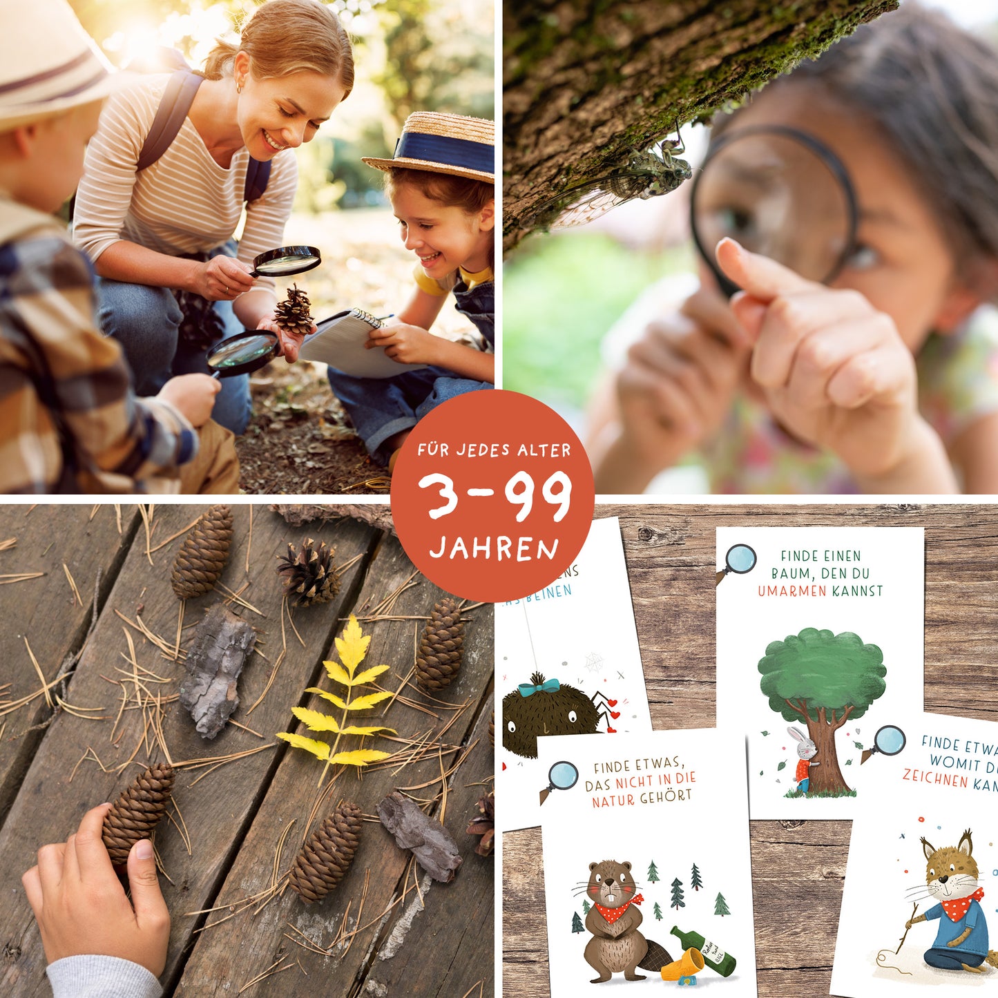 Waldschatzsuche - 40 Suchkarten zum Ausdrucken | PDF Download