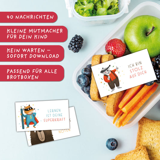 Brotbox-Nachrichten | PDF Download
